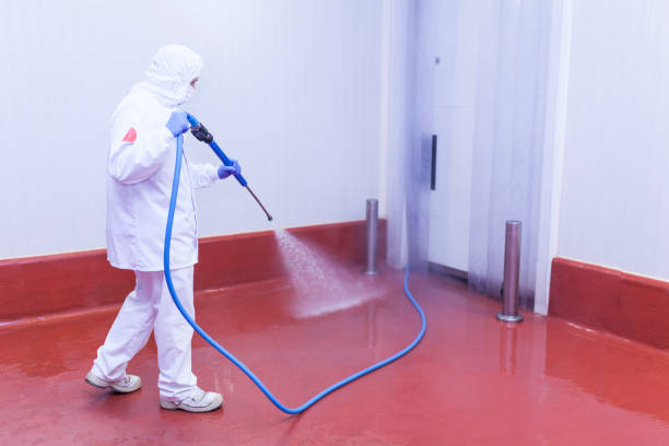 Best Patio and Deck Pressure Washing  in San Pablo, CA