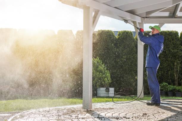 Animal Enclosure Cleaning in San Pablo, CA